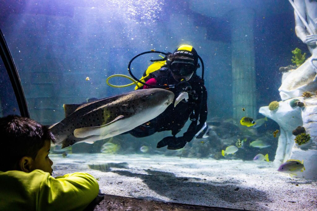 SEA LIFE Porto