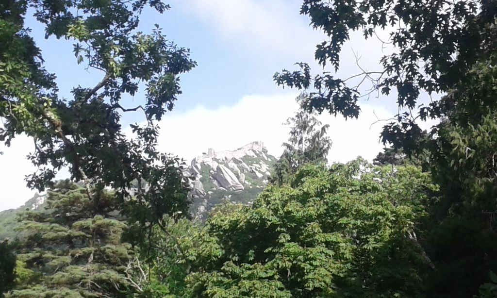 Quinta da Regaleira: Billet coupe-file + Visite guidée