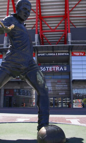 Visita al Estadio da Luz + Museo del Benfica: Entrada