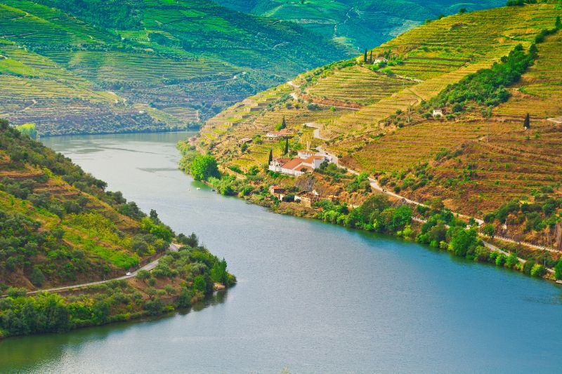 Vallée du Douro : Croisière de Régua à Porto avec Déjeuner compris