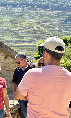 Vallée du Douro : Croisière de Régua à Porto avec Déjeuner compris
