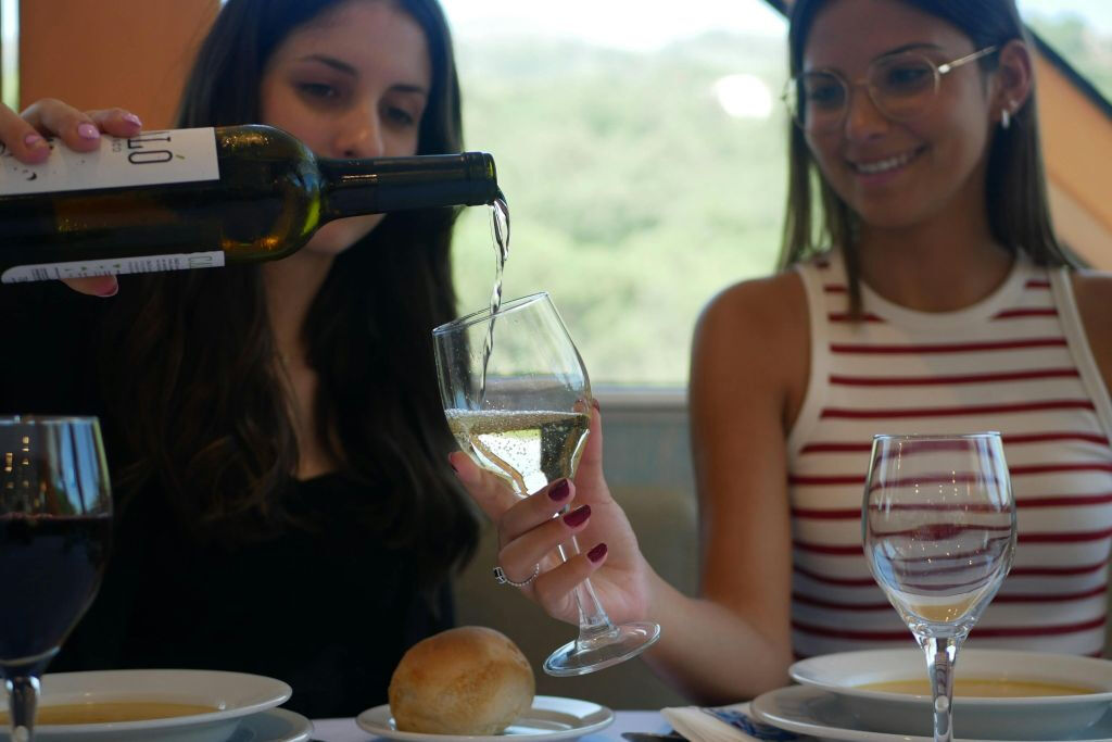 Vallée du Douro : Croisière de Régua à Porto avec Déjeuner compris