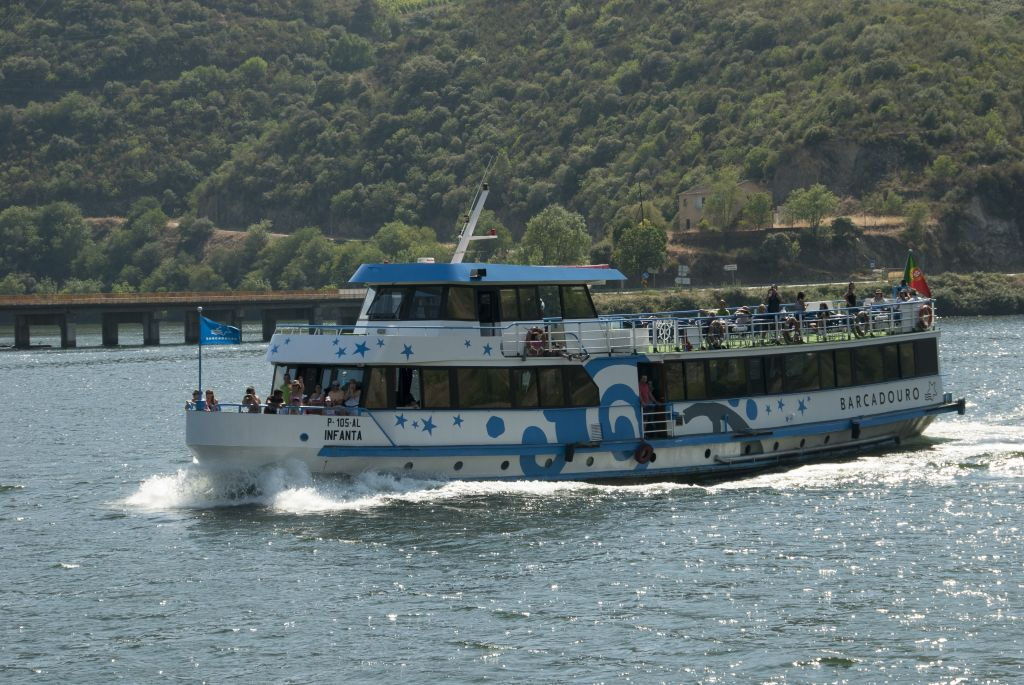 Vallée du Douro : Croisière de Régua à Porto avec Déjeuner compris