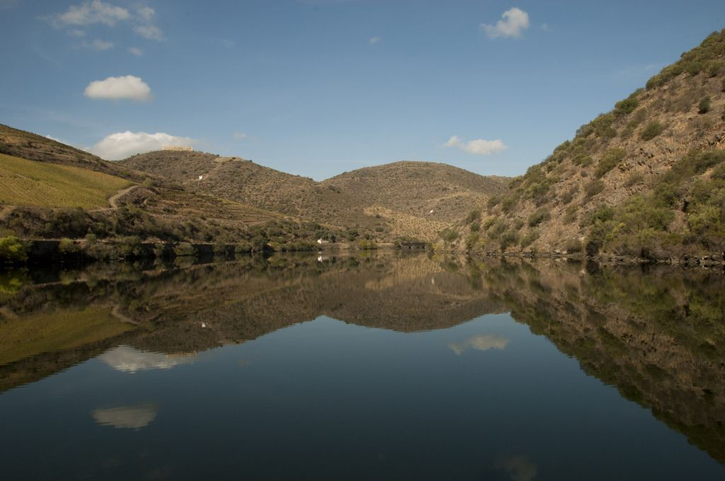 Vallée du Douro : Croisière de Régua à Porto avec Déjeuner compris