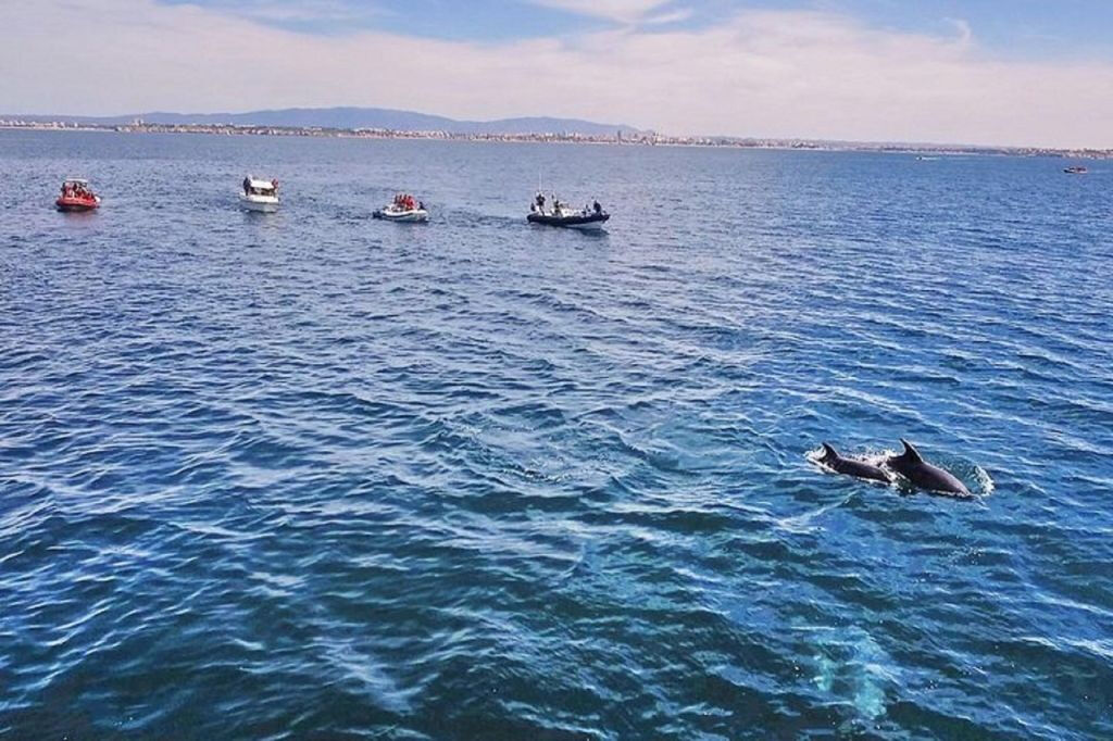 Benagil y Costa: Circuito Completo de Cuevas en Barco desde Portimão