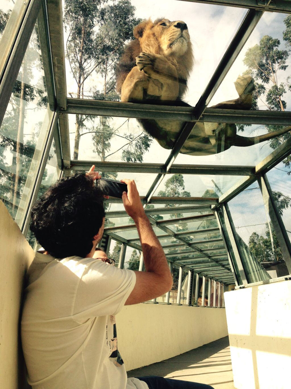 Zoo Santo Inácio: Skip The Line Ticket