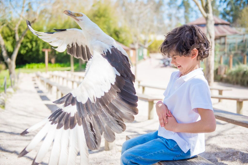 Zoo Santo Inácio: Skip The Line Ticket