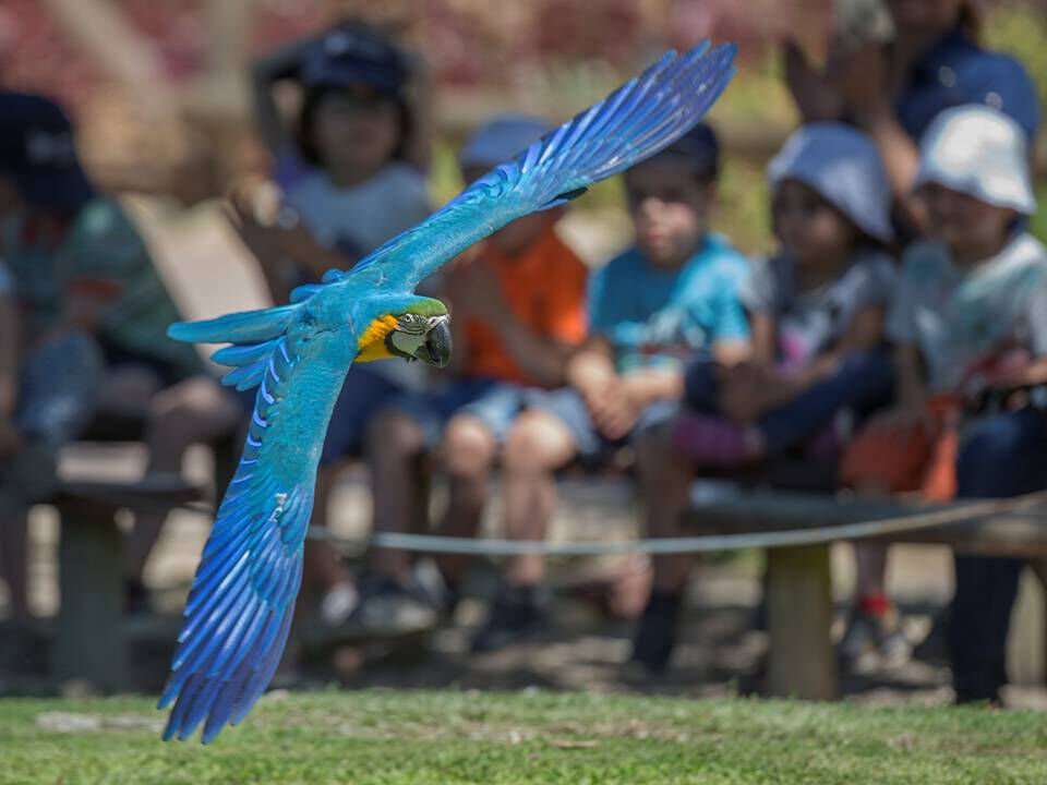 Zoo Santo Inácio: Skip The Line Ticket