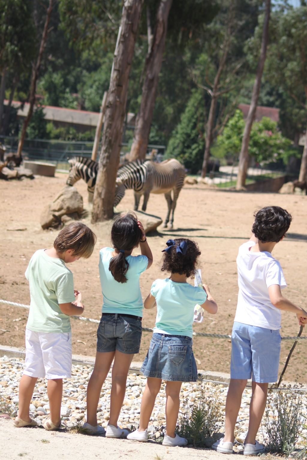 Zoo Santo Inácio: Entrada sin colas