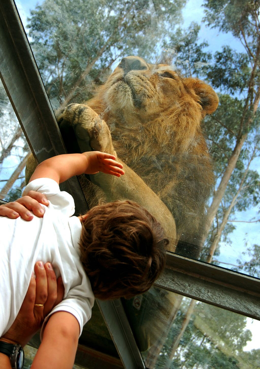 Zoo Santo Inácio: Skip The Line Ticket