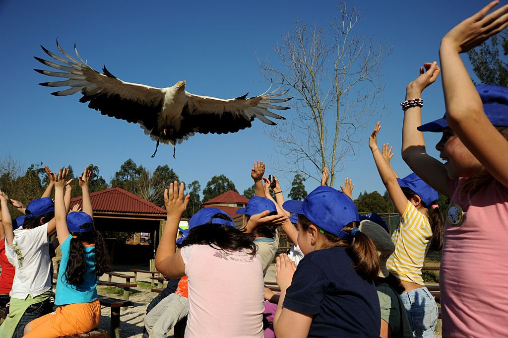Zoo Santo Inácio: Skip The Line Ticket