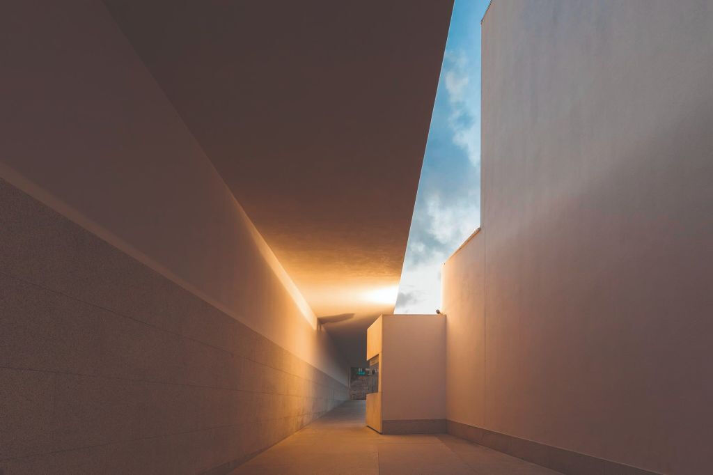 Fondazione Serralves: Biglietto d'ingresso ad accesso libero