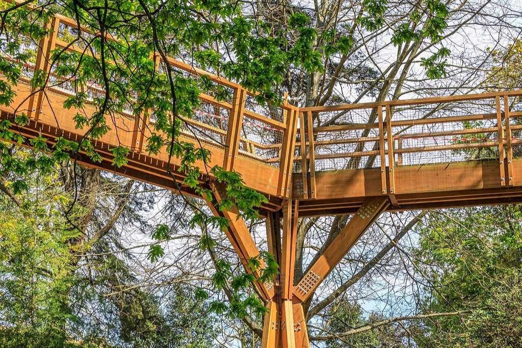 Fondazione Serralves: Biglietto d'ingresso ad accesso libero