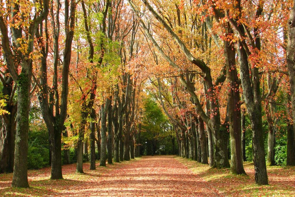 Fondazione Serralves: Biglietto d'ingresso ad accesso libero