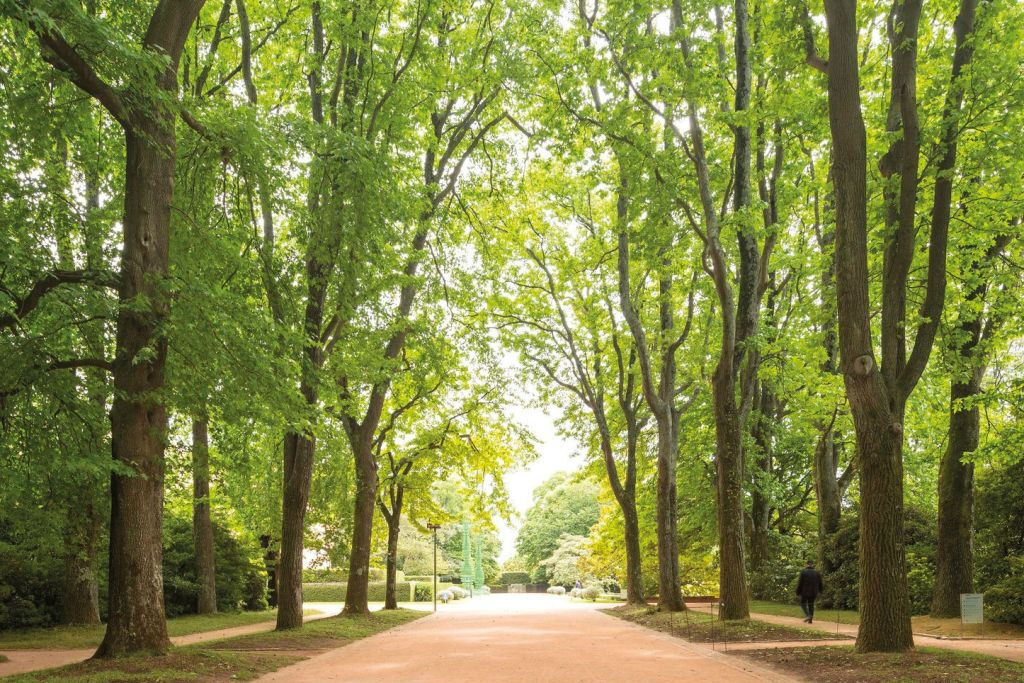 Fondazione Serralves: Biglietto d'ingresso ad accesso libero