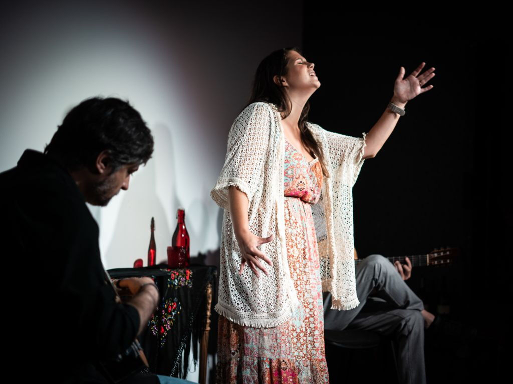 Oporto: Fado na Baixa