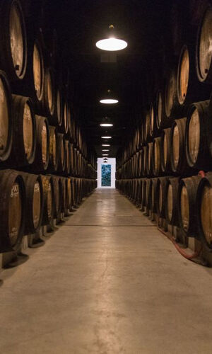 Caves Poças : Visite guidée et dégustation de 3 vins de Porto