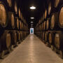 Caves Poças: Visita guiada + degustação de 3 vinhos do Porto
