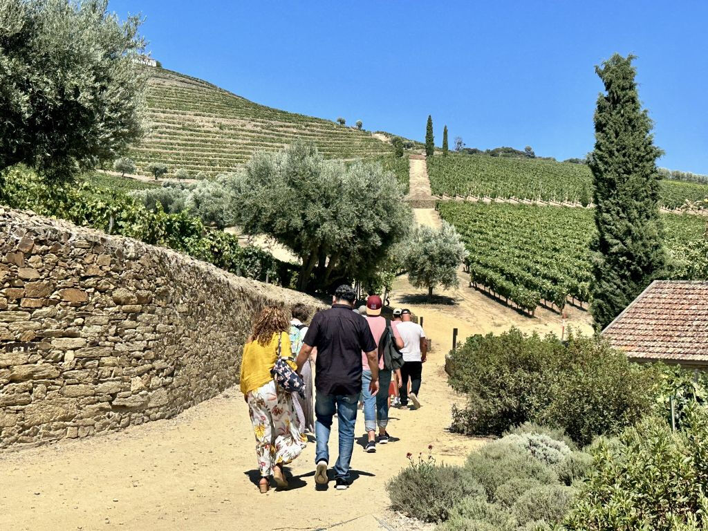 Vallée du Douro : Croisière de Porto à Régua avec petit-déjeuner et déjeuner