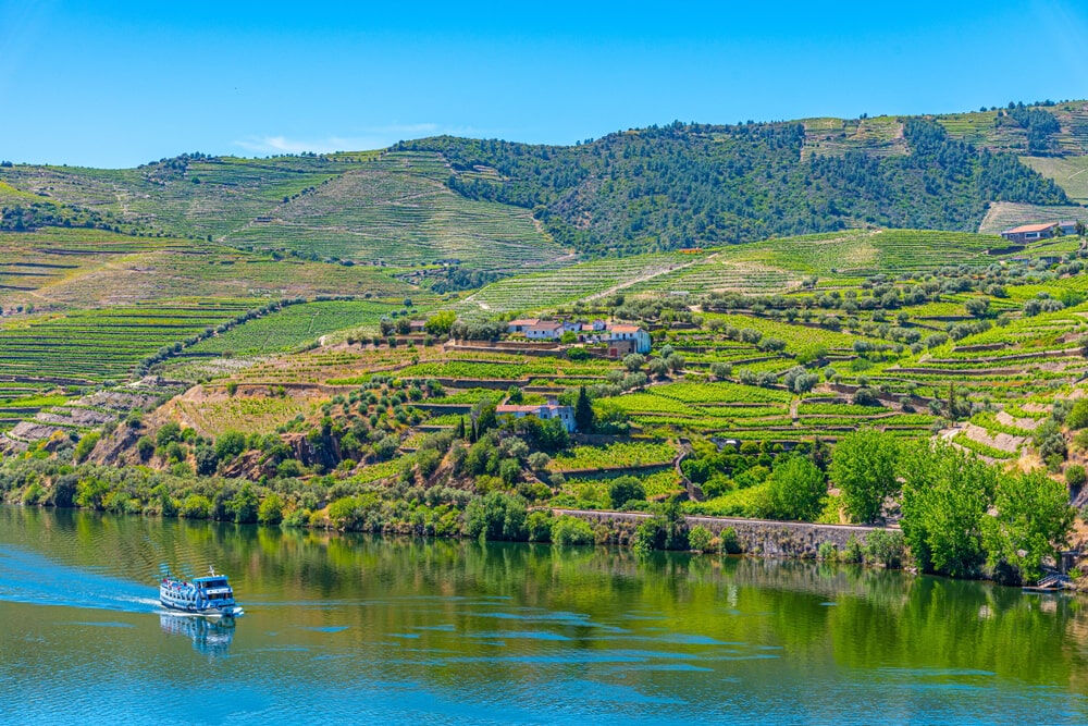 Valle del Douro - Tour in Barca da Porto a Régua con Colazione e Pranzo