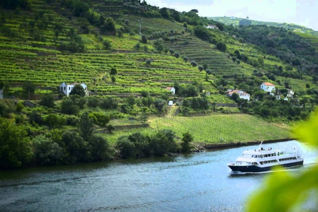 Valle del Douro - Tour in Barca da Porto a Régua con Colazione e Pranzo