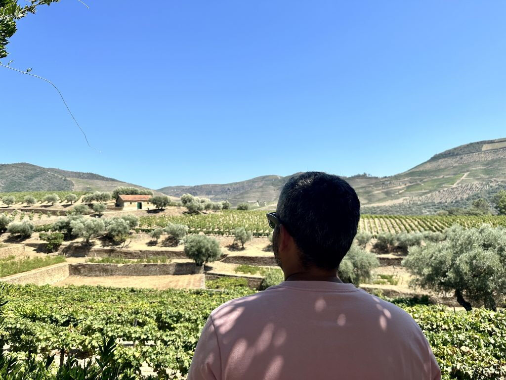 Valle del Douro - Tour in Barca da Porto a Régua con Colazione e Pranzo