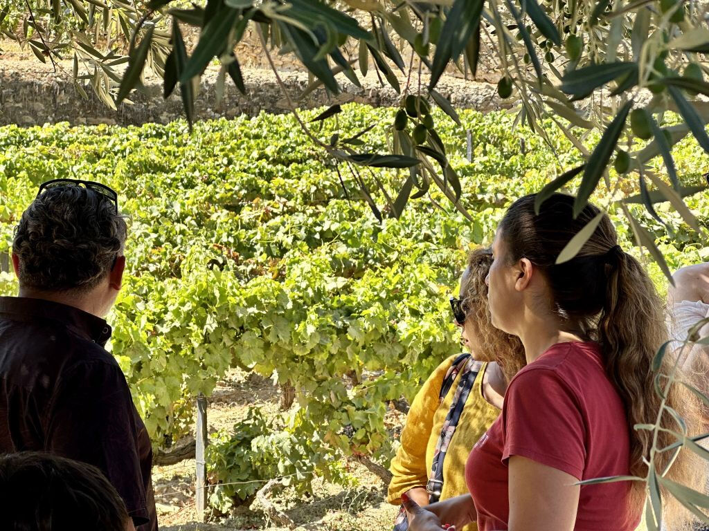 Valle del Douro - Tour in Barca da Porto a Régua con Colazione e Pranzo
