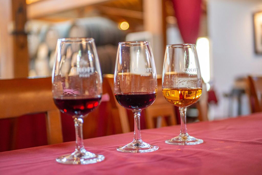 Vale do Douro: Passeio de um dia saindo do Porto com cruzeiro + degustação de vinho do Porto