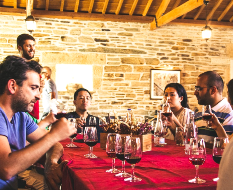 Vale do Douro: Passeio de um dia saindo do Porto com cruzeiro + degustação de vinho do Porto