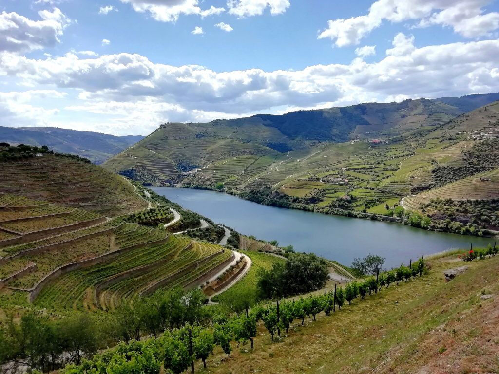 Vallée du Douro : Excursion depuis Porto avec croisière + Dégustation de vin