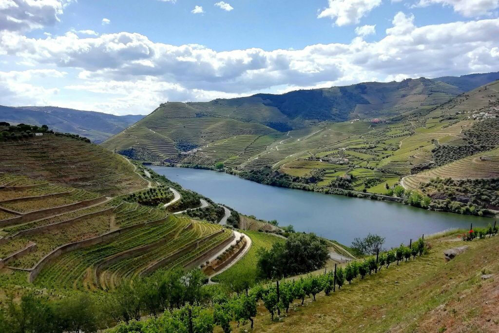 Vale do Douro: Passeio de um dia saindo do Porto com cruzeiro + degustação de vinho do Porto