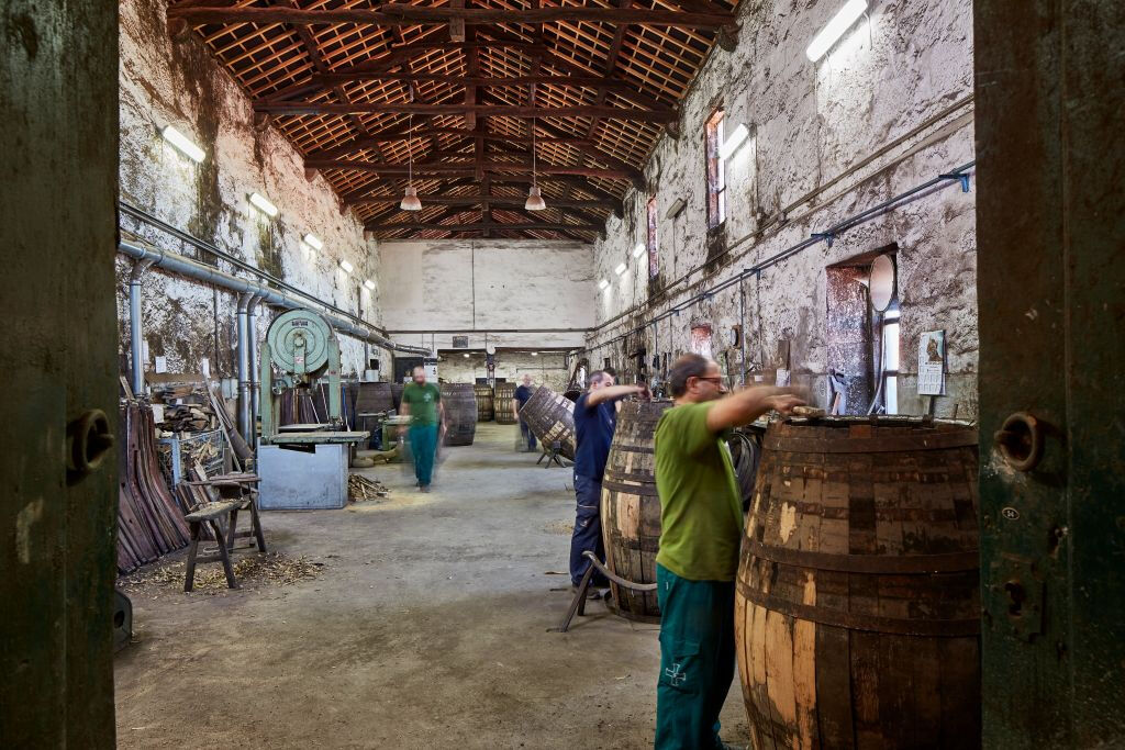Cockburn's Cellars: Guided Tour + Wine Tasting