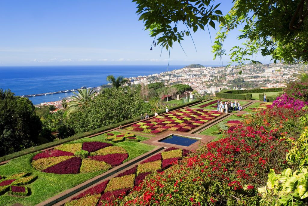 Autocarro hop-on hop-off Funchal
