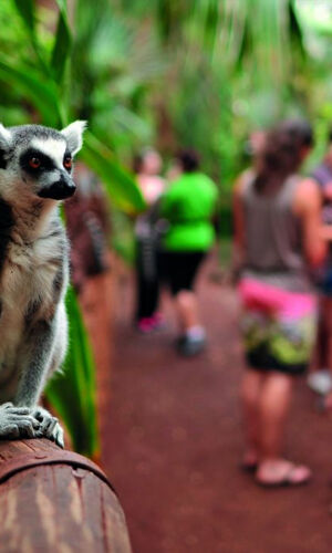 Oasis Wildlife Fuerteventura 