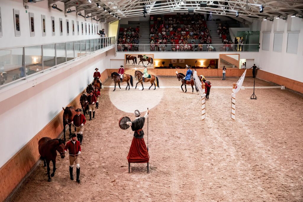 Scuola Portoghese di Arte Equestre: Allenamento mattutino