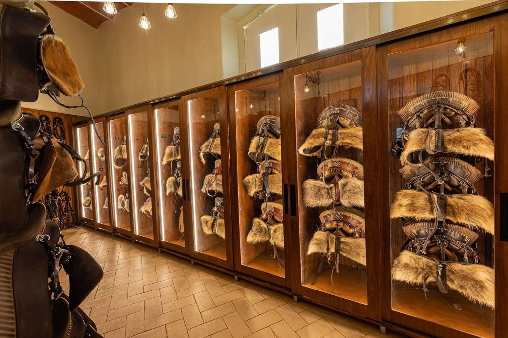 Scuola Portoghese di Arte Equestre: Allenamento mattutino