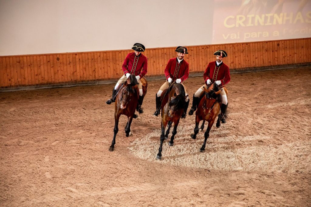 Scuola Portoghese di Arte Equestre: Allenamento mattutino