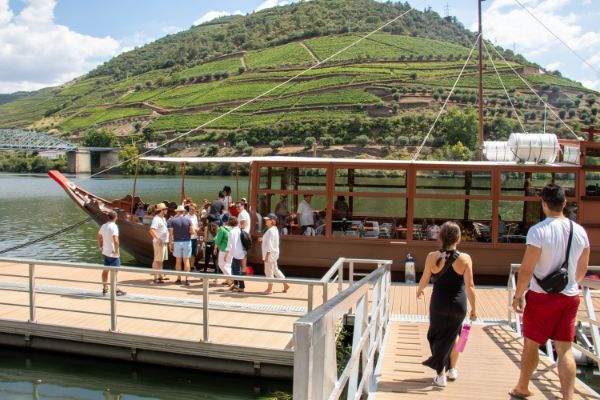 Valle del Duero: Excursión desde Oporto + Cata de vinos, queso y aceite de oliva