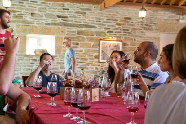 Valle del Duero: Excursión desde Oporto + Cata de vinos, queso y aceite de oliva