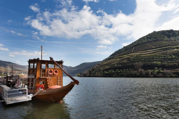 Valle del Duero: Excursión desde Oporto + Cata de vinos, queso y aceite de oliva