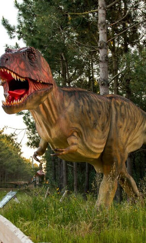 Dino Parque Lourinhã: Bilhete de entrada