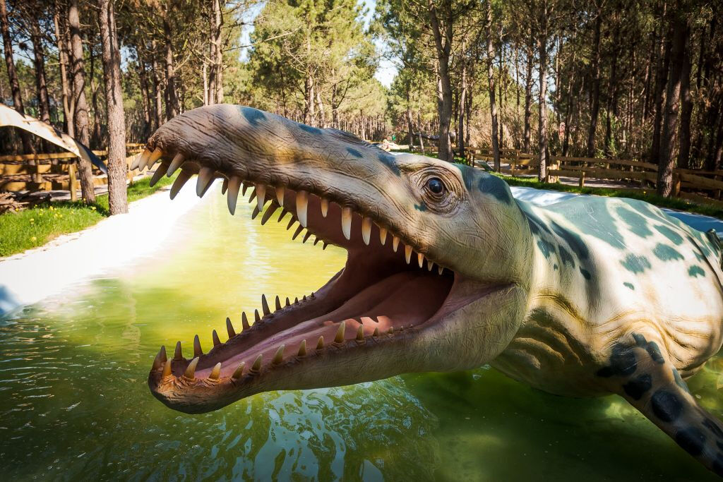 Dino Parque Lourinhã: Entry Ticket