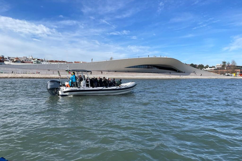 Tour de observación de delfines desde Lisboa