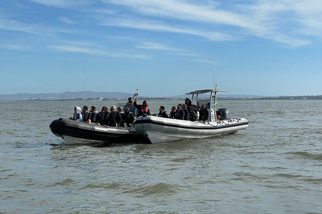 Tour de observación de delfines desde Lisboa
