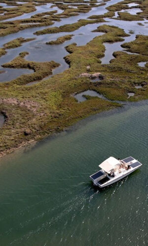 Passeio de barco ecológico na Ria Formosa