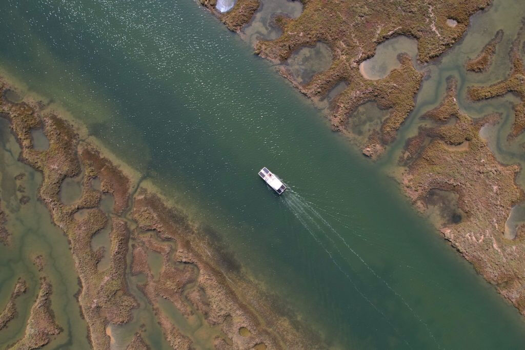 Ria Formosa Eco Boat Tour