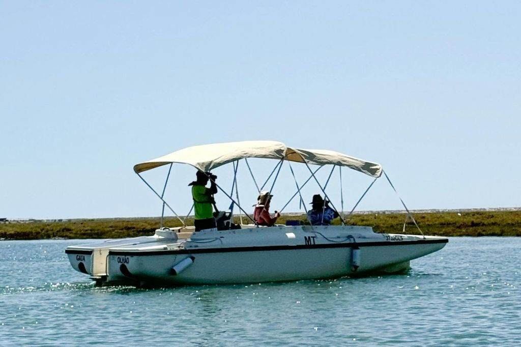 Ria Formosa Eco Boat Tour