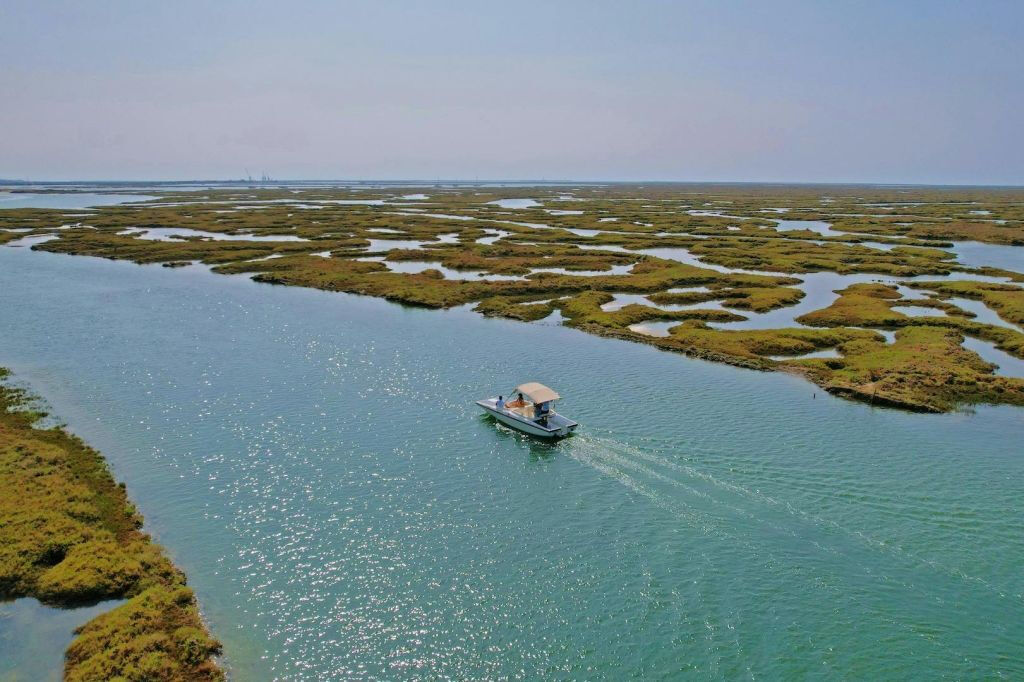 Ria Formosa Eco Boat Tour