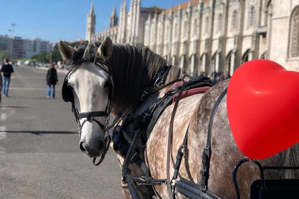 Belém: Passeio de Carro puxado por Cavalos