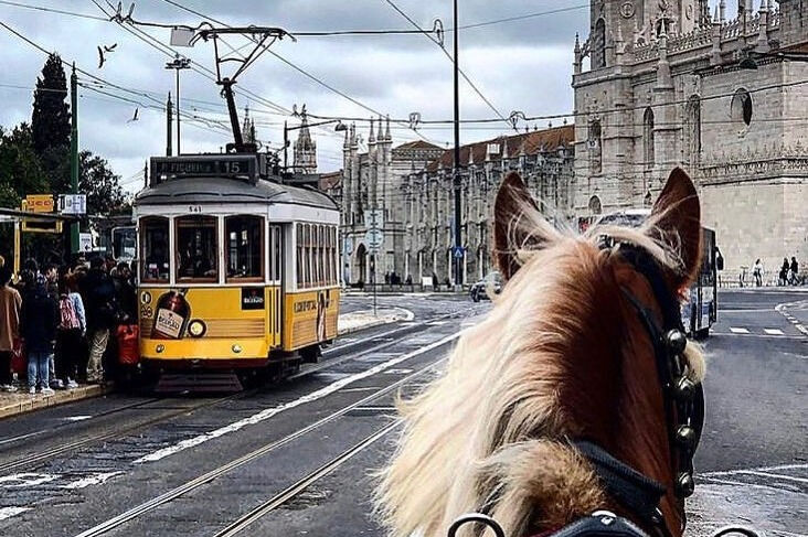 Belém: Passeio de Carro puxado por Cavalos